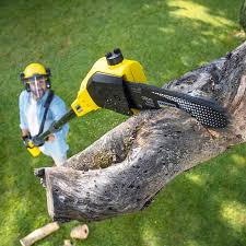 Best Lawn Irrigation Installation and Maintenance  in Corning, CA